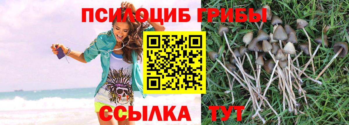 Галлюциногенные грибы ЛСД Звенигород
